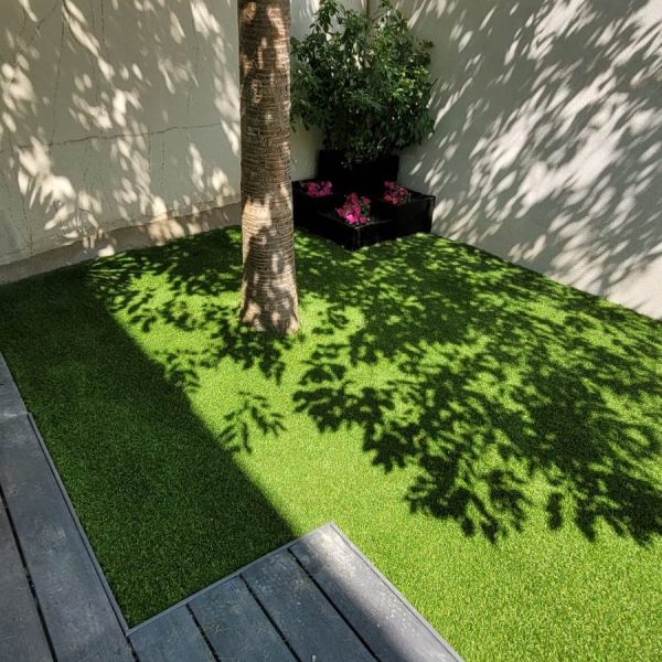 355462775_968983777847101_8040612865619870030_n